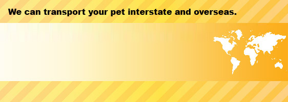 We transport your pet interstate and overseas. For an immediate quote cal us toll free on 1800 262 837. Phone: 02 4684 3077 Mobile: 0410 455 754 BARGO NSW 2574 Australia